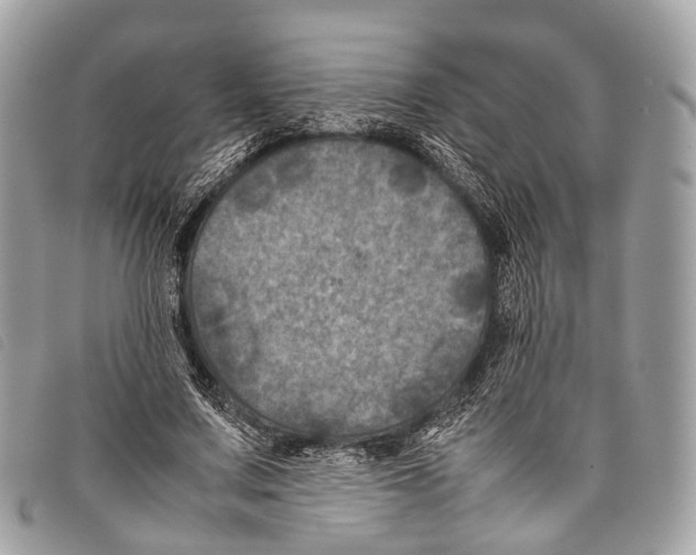 X0000097840683200804111105