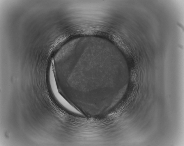 X0000097840685200804111105