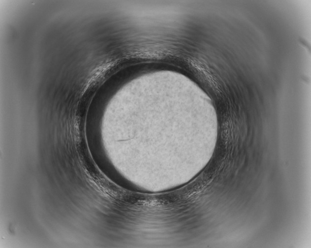 X0000097840688200804111105