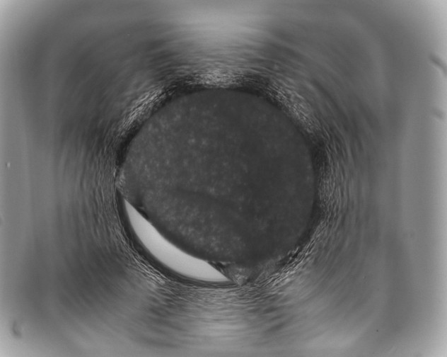 X0000097840689200804111105