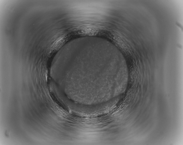 X0000097840693200804111105