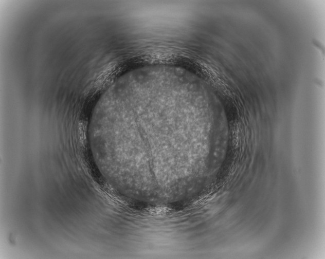 X0000097840695200804111105