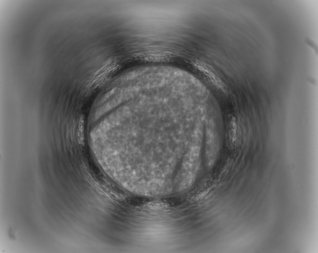 X0000097840696200804111105