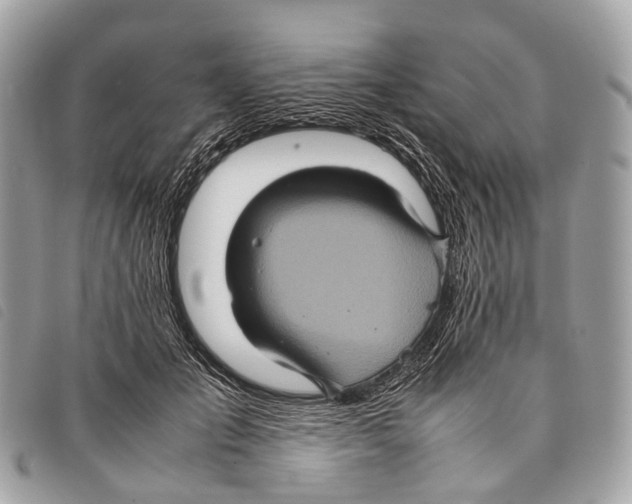 X0000097840701200804111104