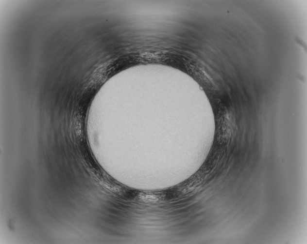 X0000097840706200804111104