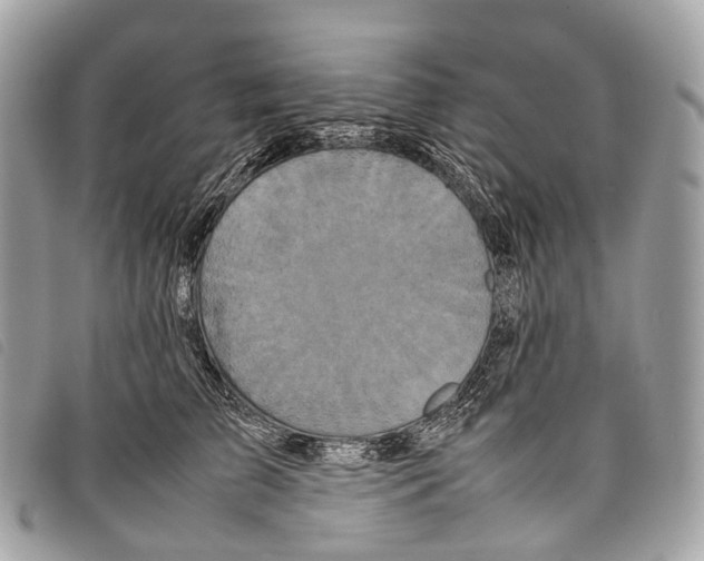 X0000097840709200804111104