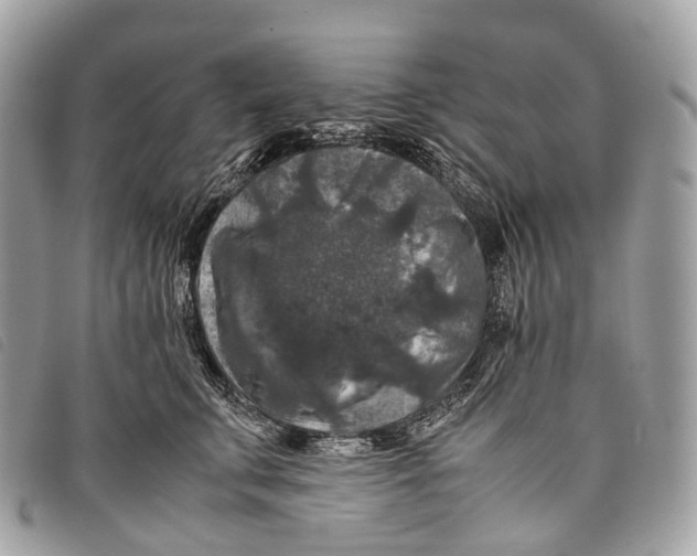 X0000097840711200804111104