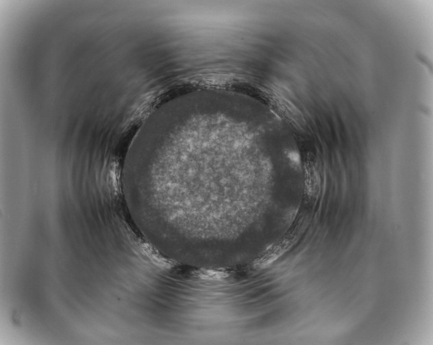 X0000097840718200804111104