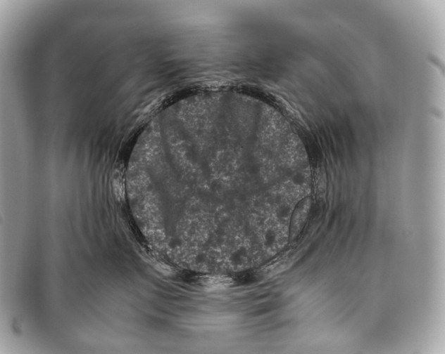 X0000097840719200804111104