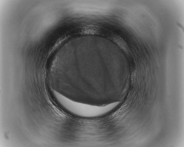 X0000097840722200804111103