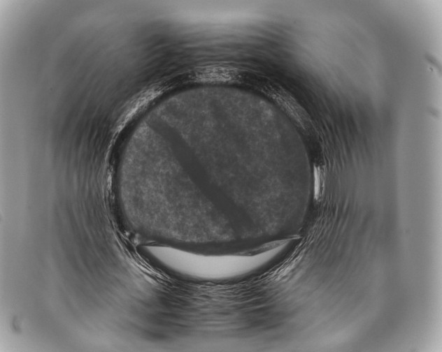 X0000097840723200804111103