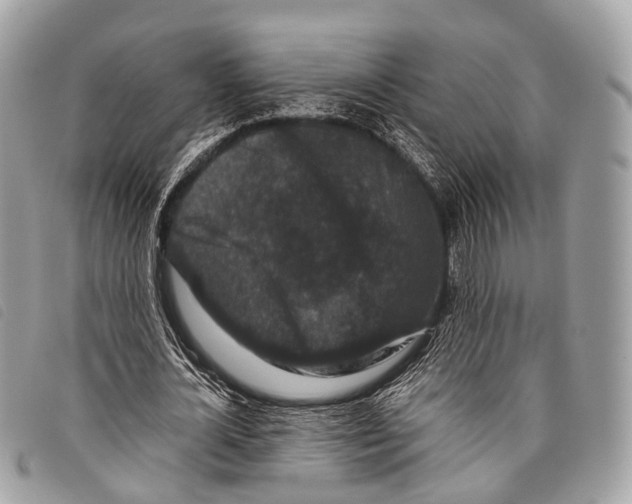 X0000097840724200804111103