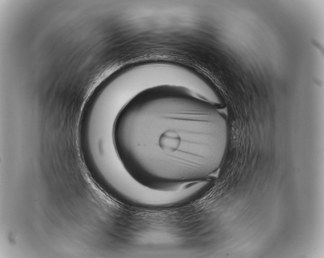 X0000097840726200804111103