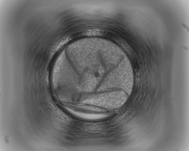 X0000097840727200804111103