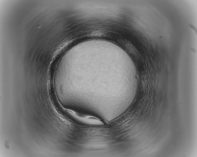 X0000097840728200804111103