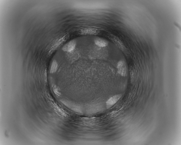 X0000097840729200804111103