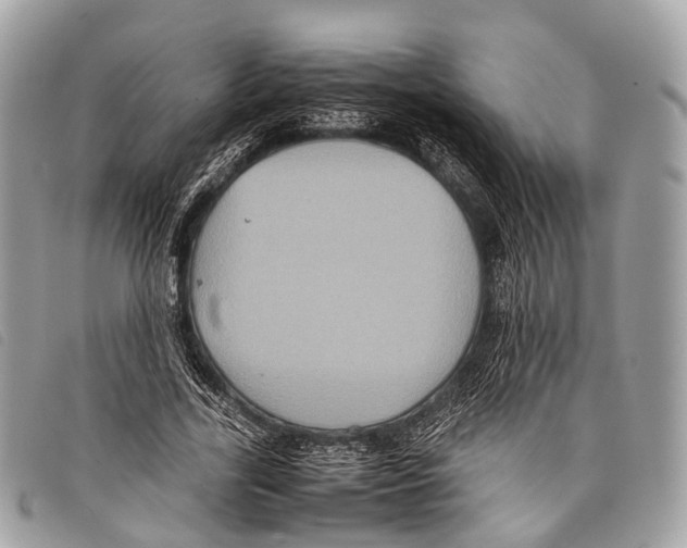 X0000097840731200804111104