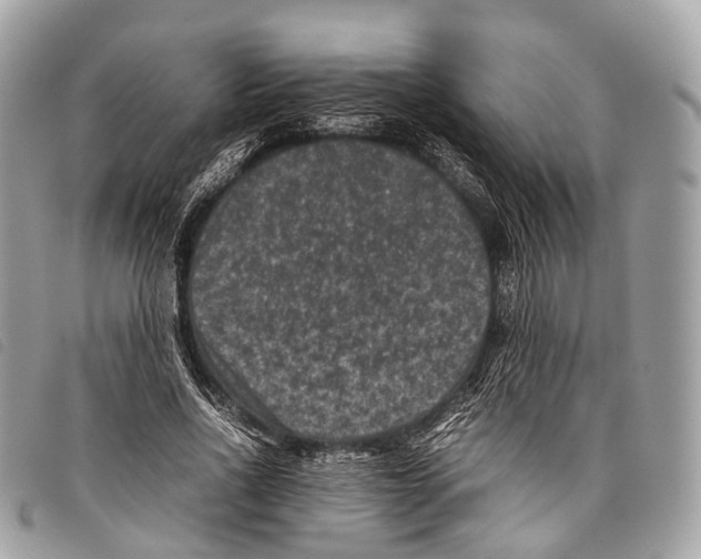X0000097840734200804111104