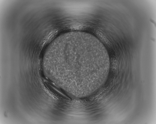 X0000097840738200804111104