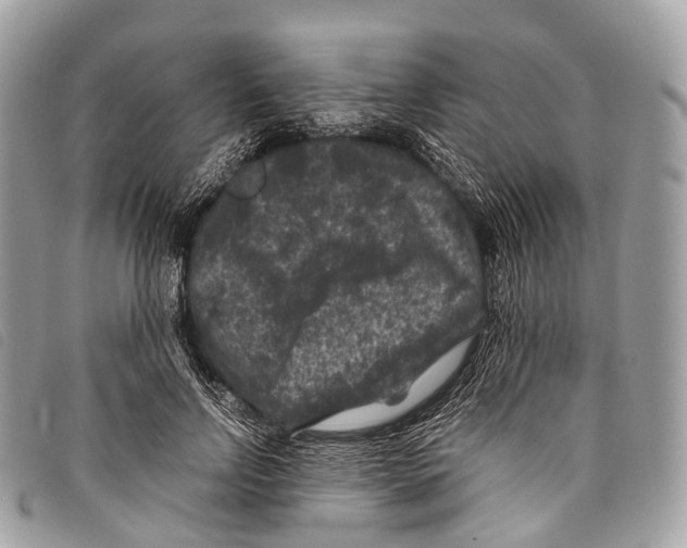 X0000097840742200804111104