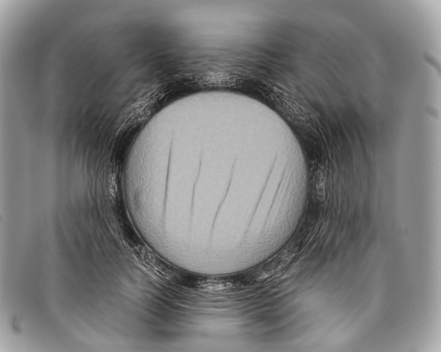 X0000097840746200804111104