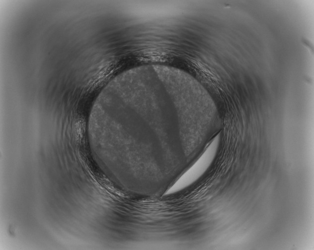 X0000097840747200804111104