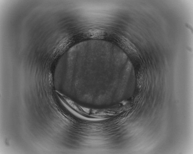 X0000097840748200804111104