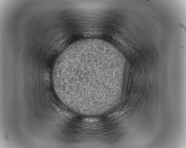 X0000097840749200804111104