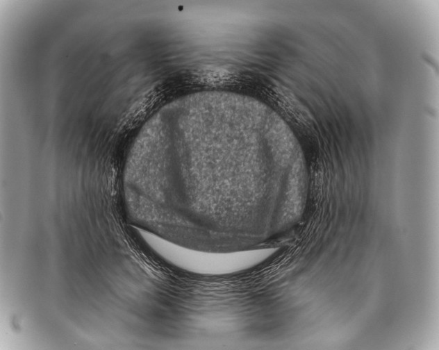 X0000097840750200804111104