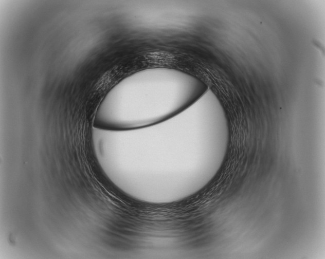 X0000097840752200804111104