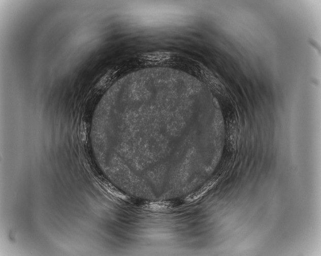 X0000097840758200804111104