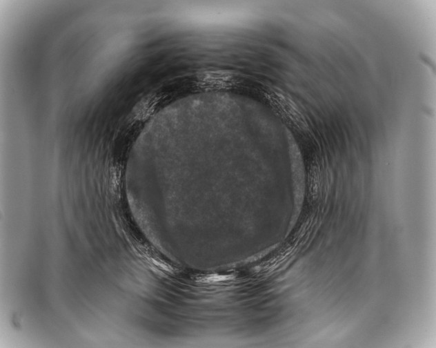 X0000097840759200804111104