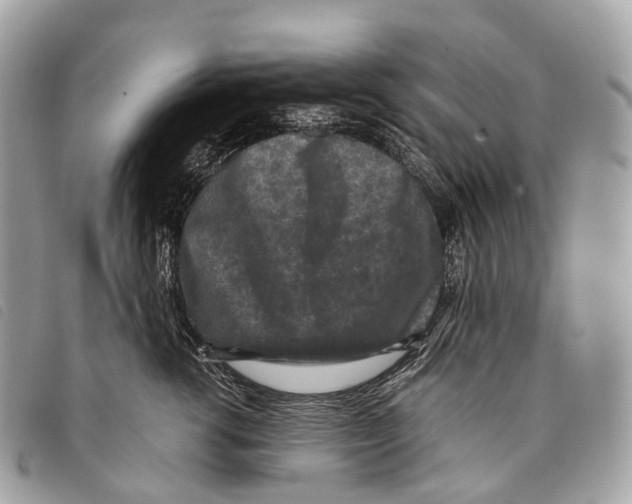 X0000097840762200804111104