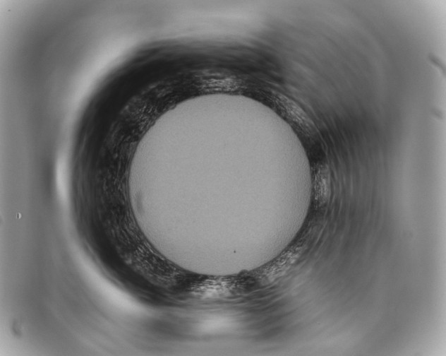 X0000097840764200804111104