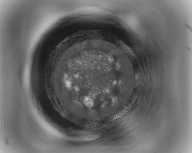 X0000097840765200804111104