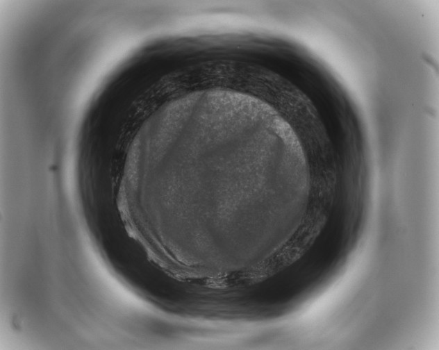 X0000097840766200804111104