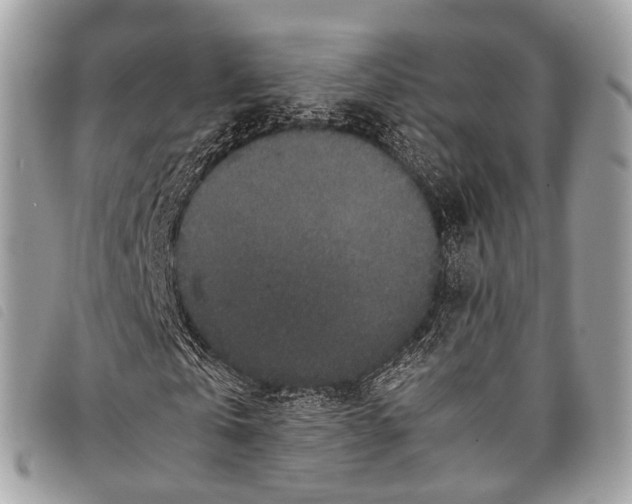 X0000097840769200804111103