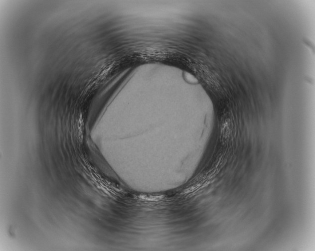 X0000097840772200804111103