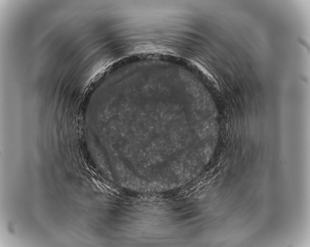 X0000097840775200804111103
