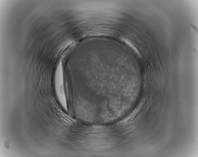 X0000097840777200804111103