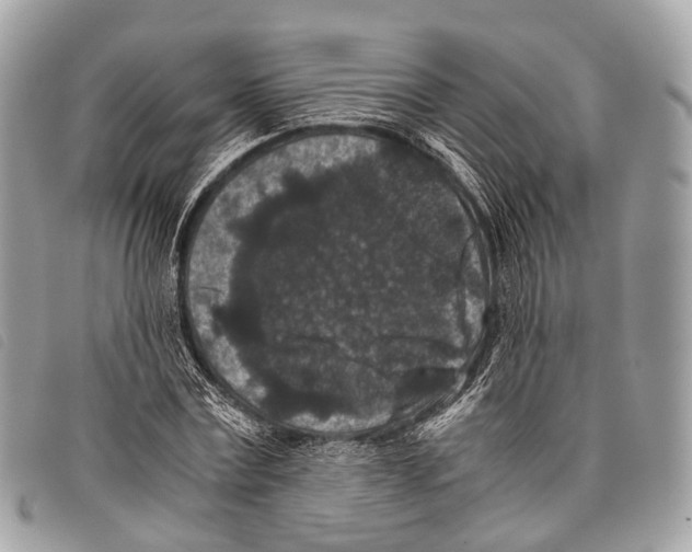 X0000097840779200804111103