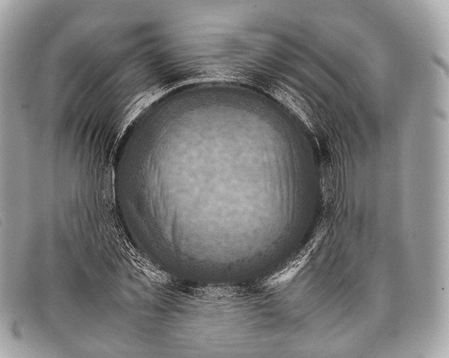 X0000097840781200804111103