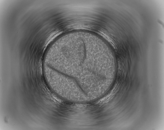 X0000097840782200804111103