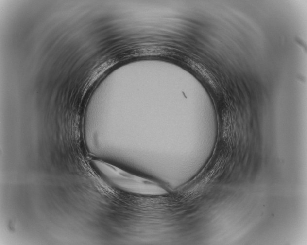 X0000097840786200804111103