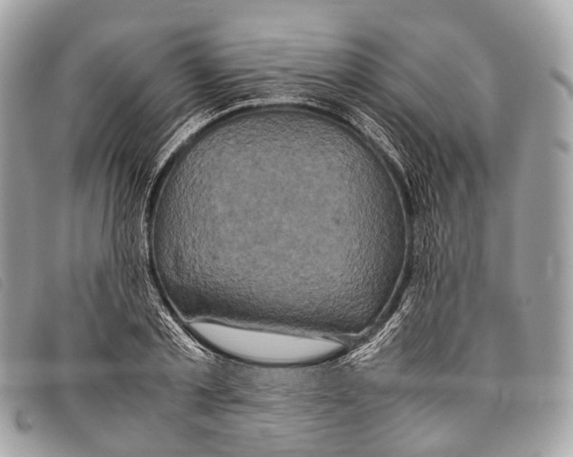 X0000097840789200804111103