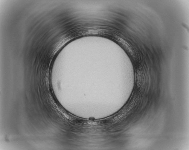 X0000097840794200804111103
