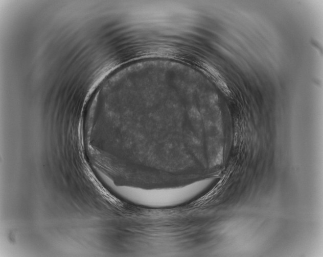 X0000097840796200804111103