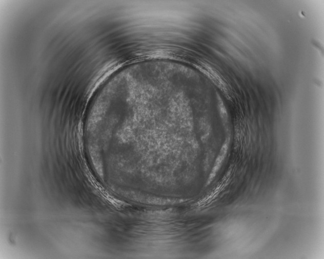 X0000097840798200804111103