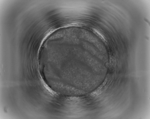 X0000097840800200804111103