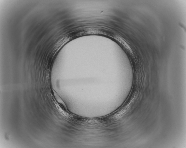X0000097840801200804111103